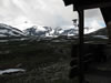 ** PLEASE DESCRIBE THIS IMAGE **