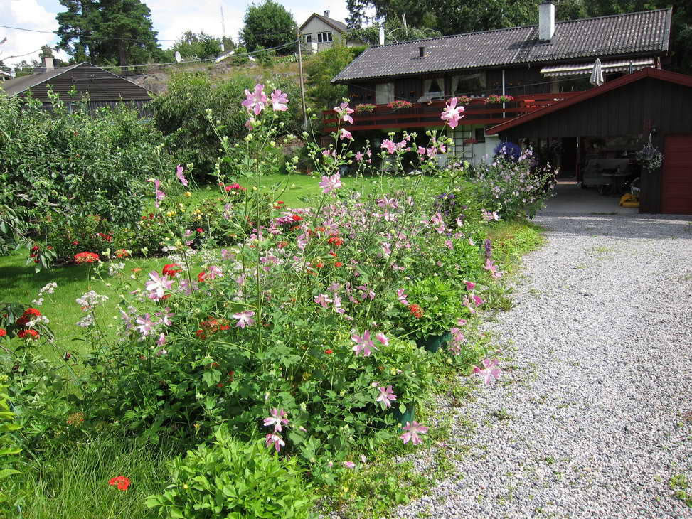 IMG_0653_resize_JPG