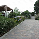 ** PLEASE DESCRIBE THIS IMAGE **