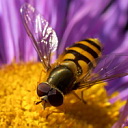 ** PLEASE DESCRIBE THIS IMAGE **