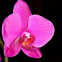 ** PLEASE DESCRIBE THIS IMAGE **