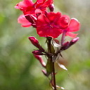 ** PLEASE DESCRIBE THIS IMAGE **