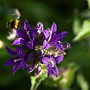 ** PLEASE DESCRIBE THIS IMAGE **