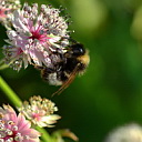 ** PLEASE DESCRIBE THIS IMAGE **