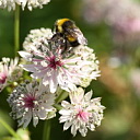 ** PLEASE DESCRIBE THIS IMAGE **