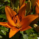 ** PLEASE DESCRIBE THIS IMAGE **