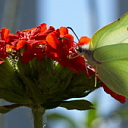 ** PLEASE DESCRIBE THIS IMAGE **