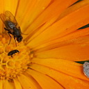 ** PLEASE DESCRIBE THIS IMAGE **