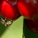 ** PLEASE DESCRIBE THIS IMAGE **