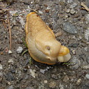 ** PLEASE DESCRIBE THIS IMAGE **