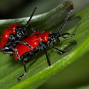 ** PLEASE DESCRIBE THIS IMAGE **