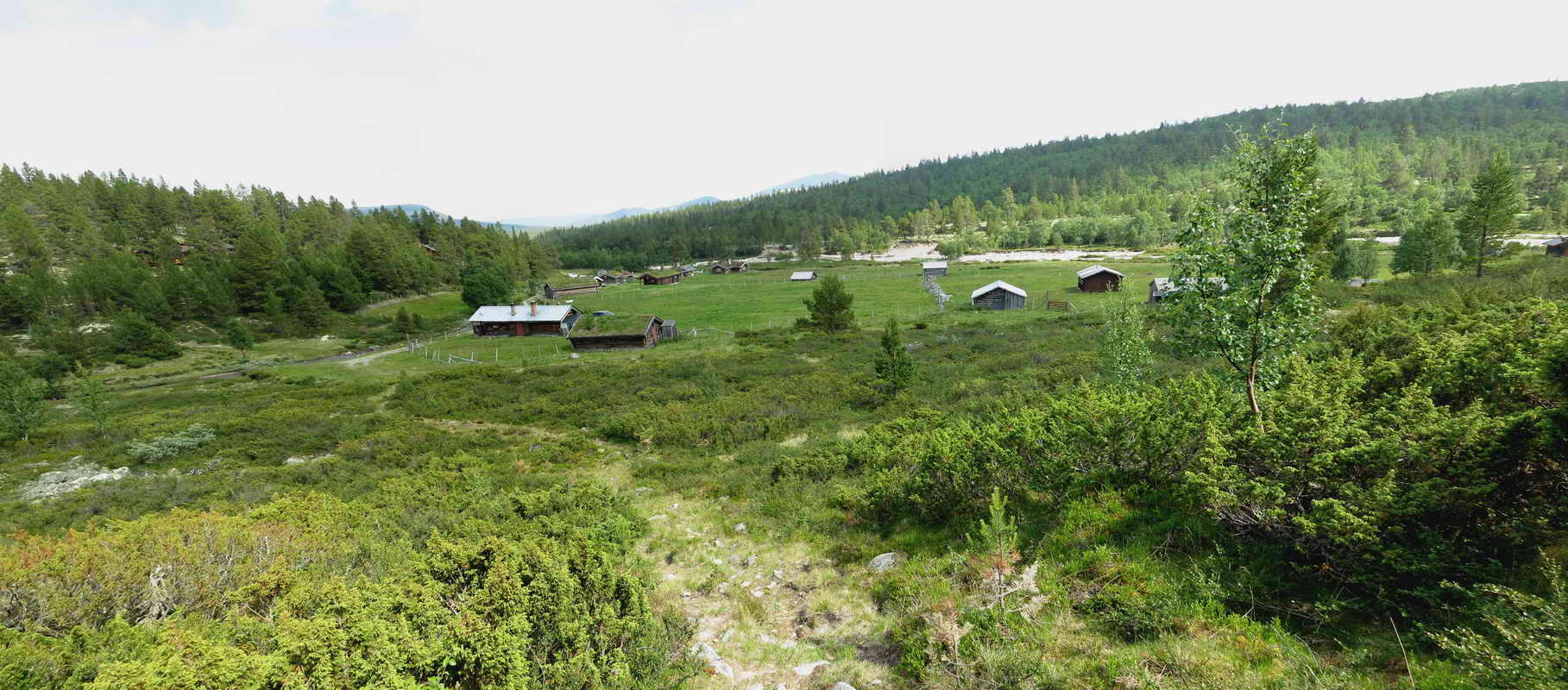 Fra_Alvdal