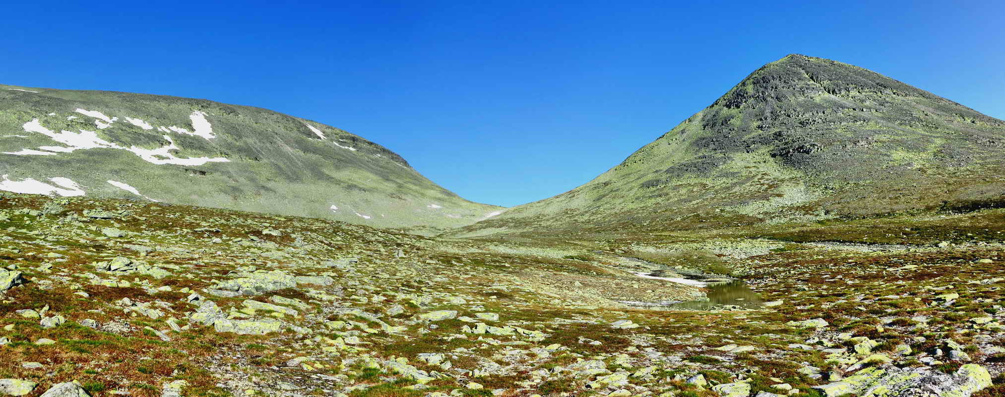 Vestfjell