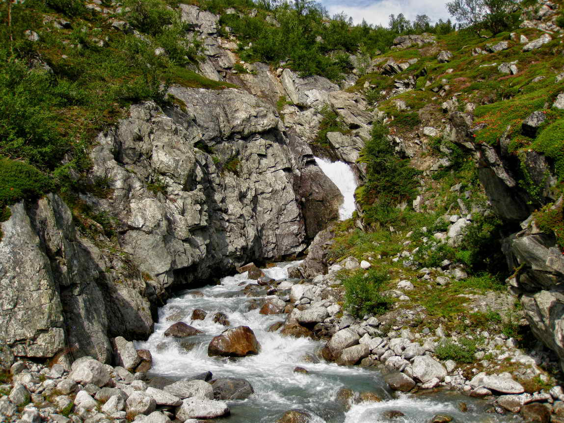 Skridulaup