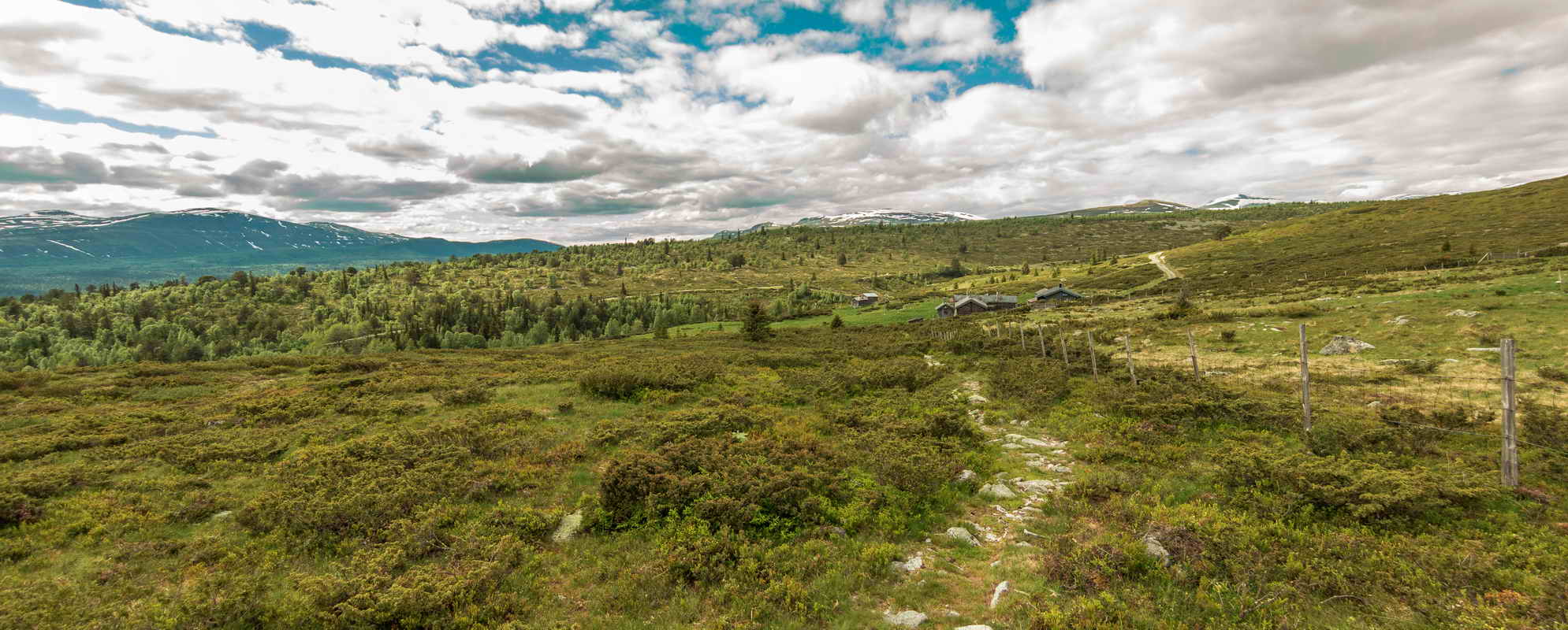 Fra Spidebergseter_3