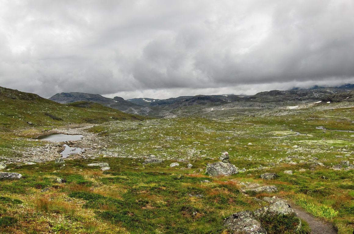 Hardangervidda_14