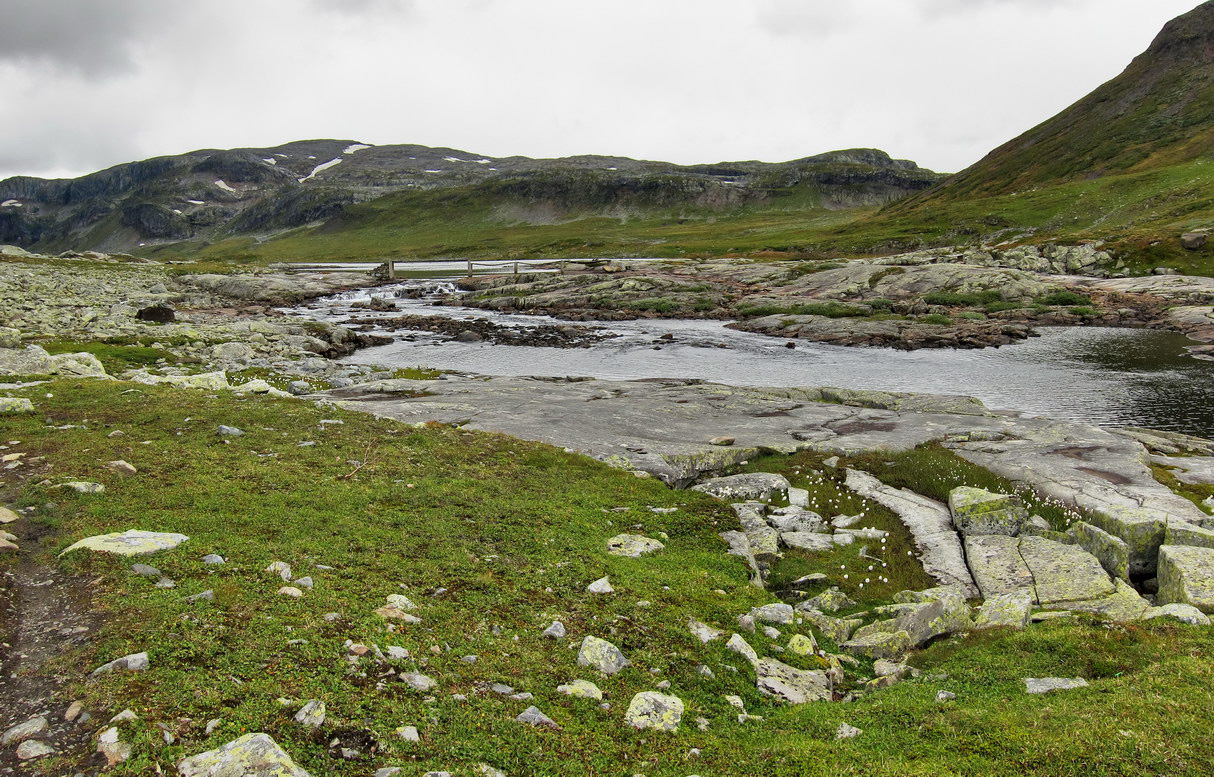 Hardangervidda_20