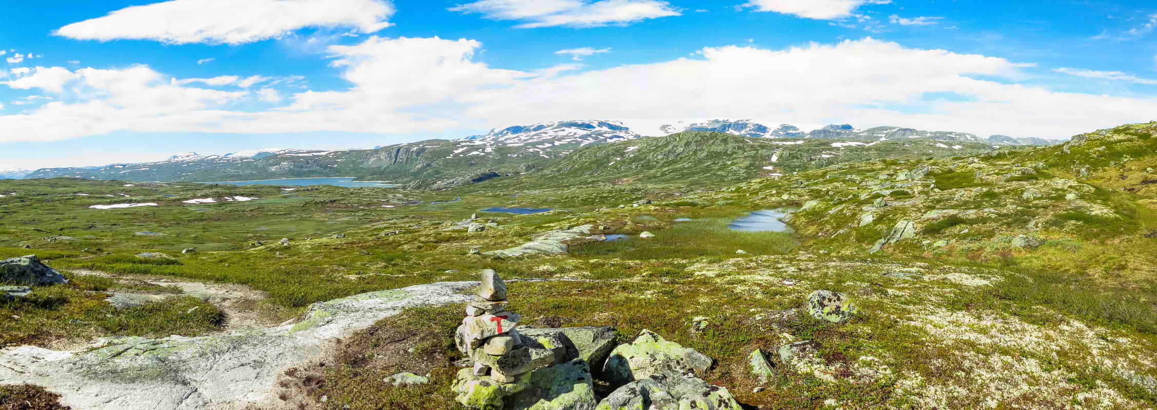 Hardangervidda_2015