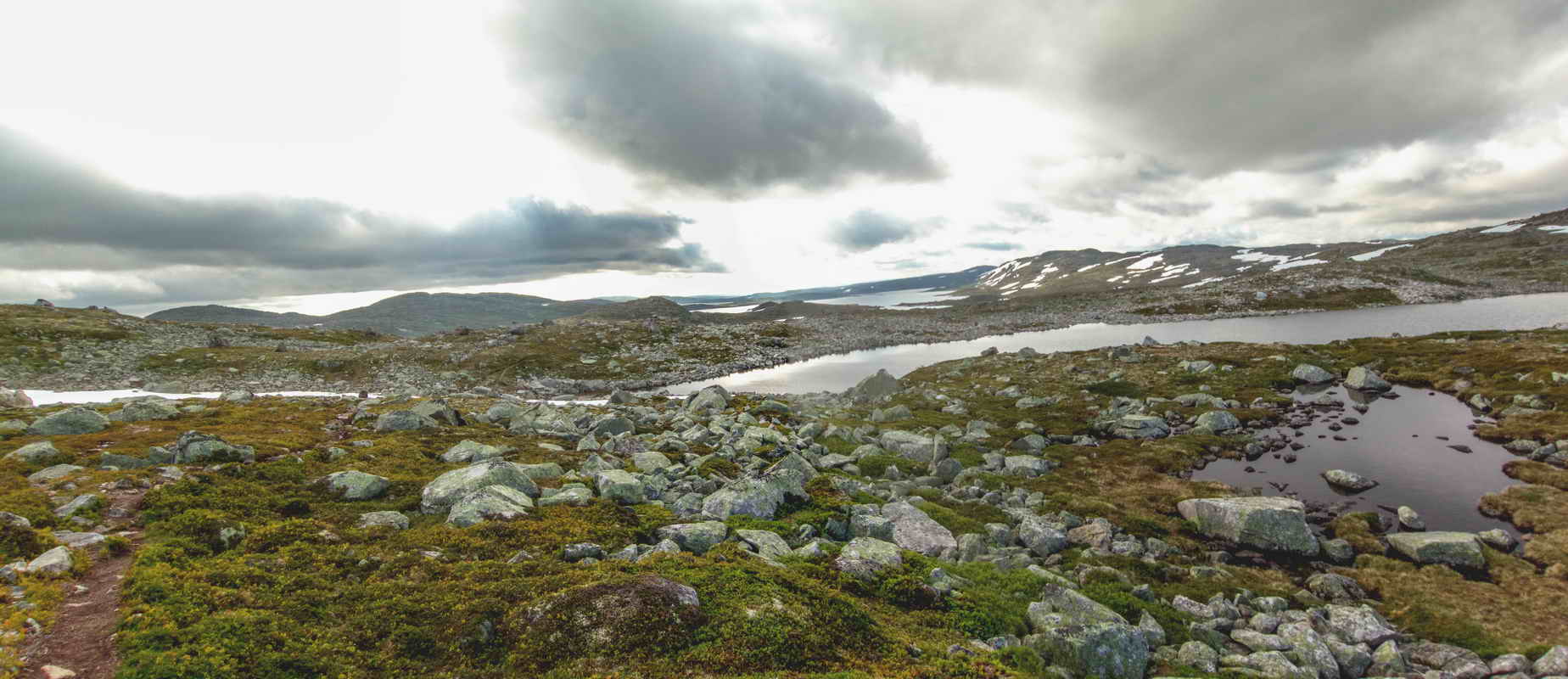Hardangervidda_2015