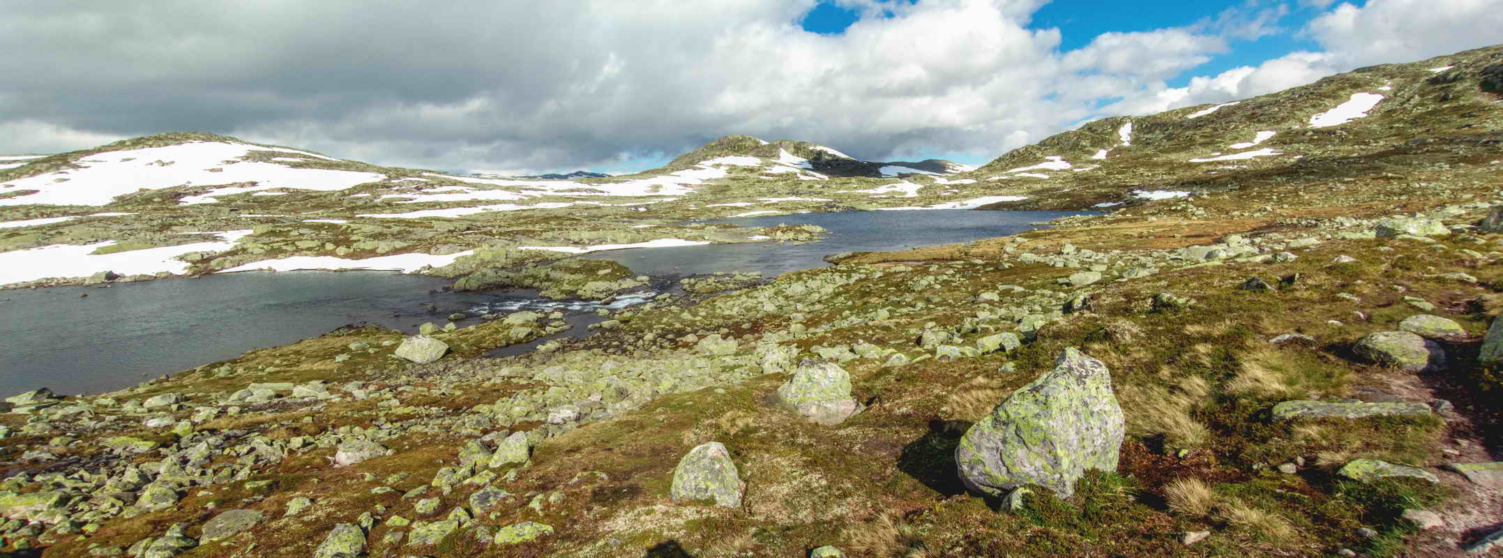 Hardangervidda_2015