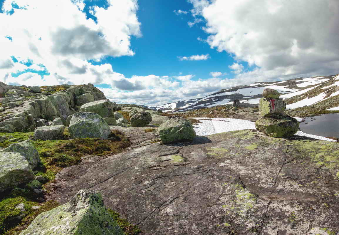 Hardangervidda_2015