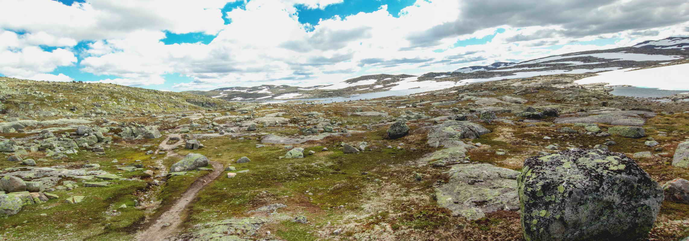 Hardangervidda_2015