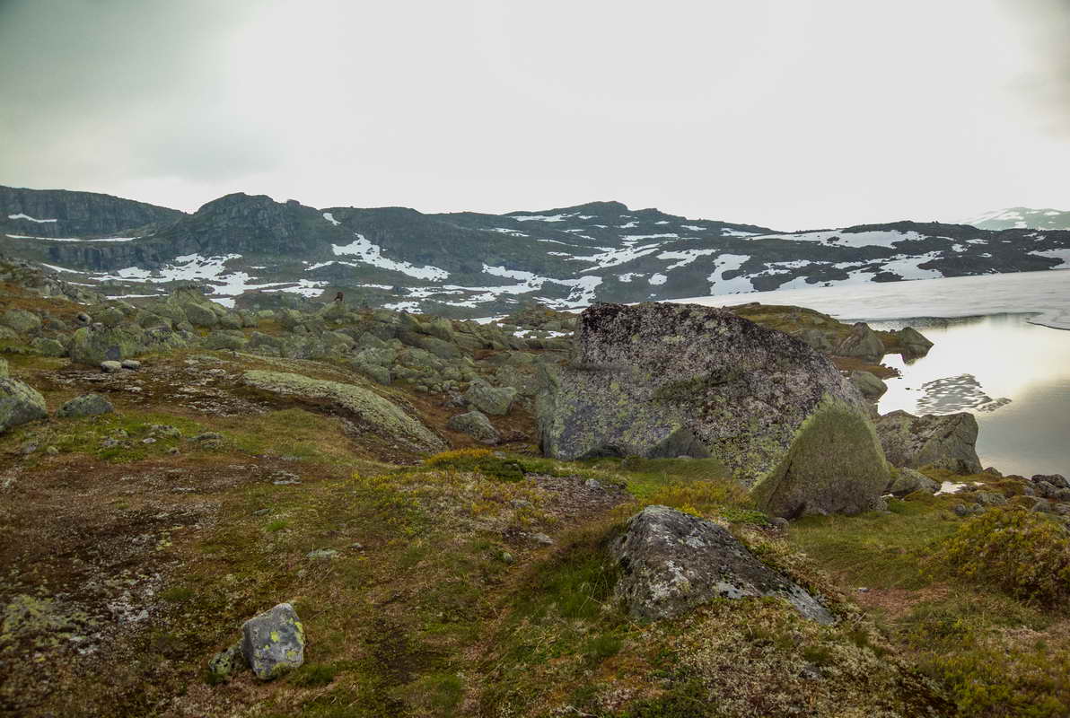Hardangervidda_2015