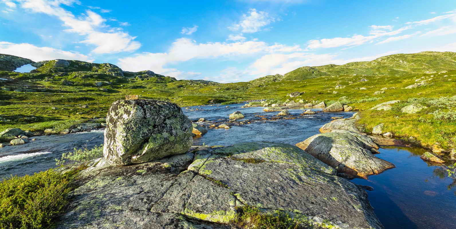 Hardangervidda_2015