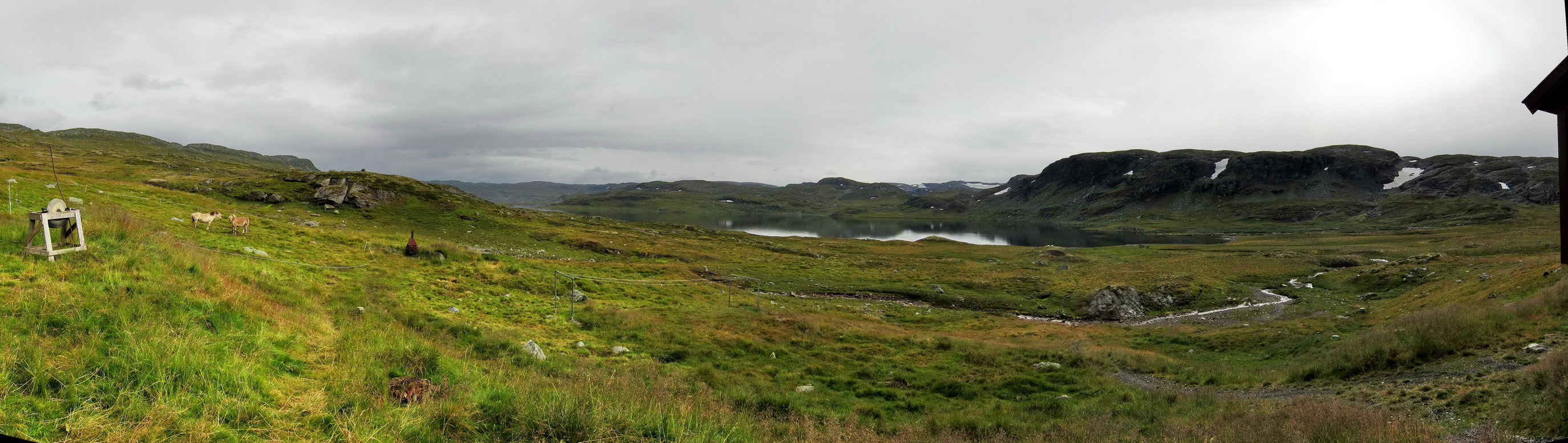 Hardangervidda_21