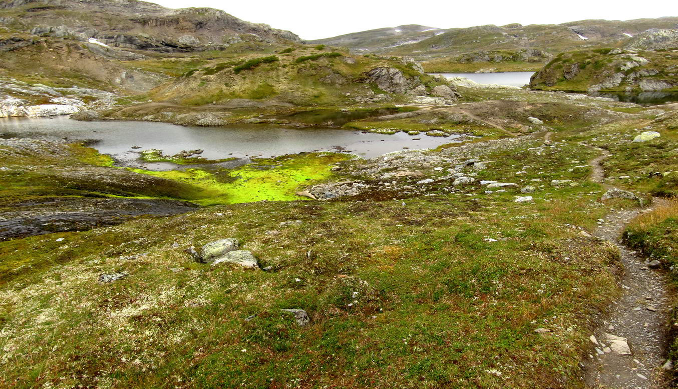 Hardangervidda_31