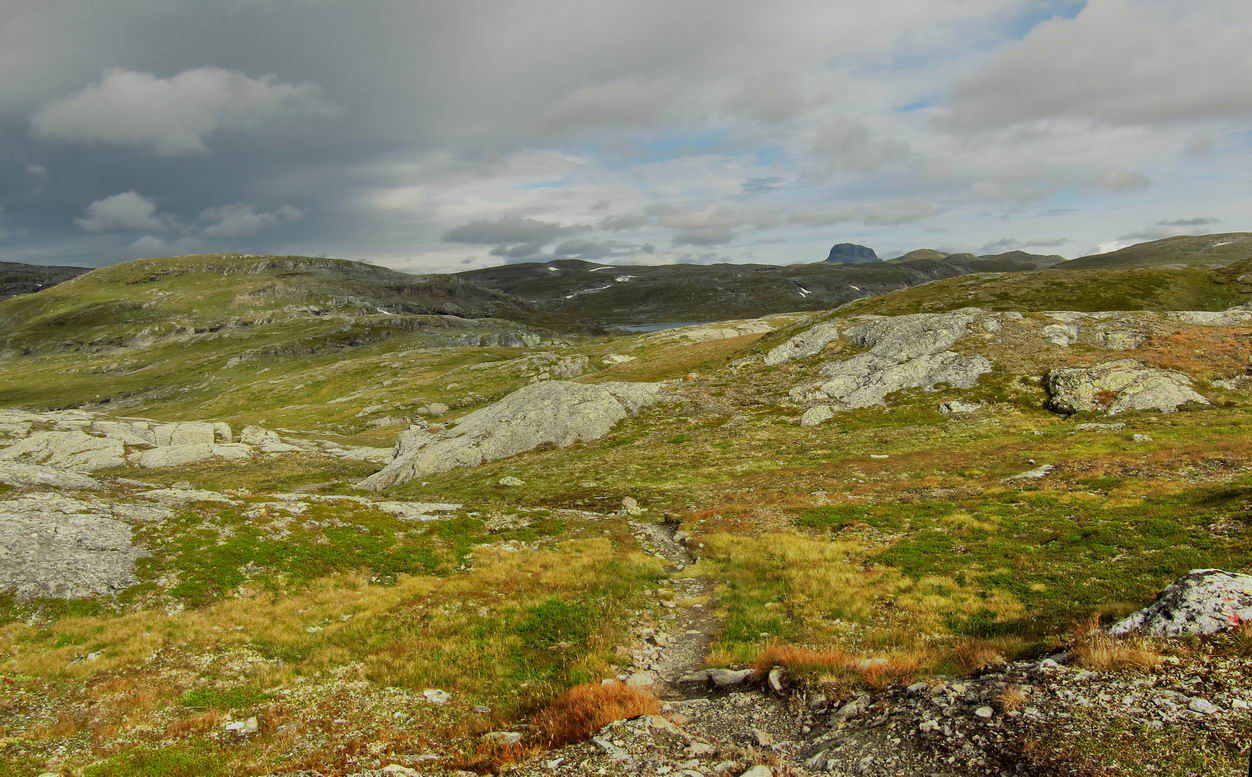 Hardangervidda_32