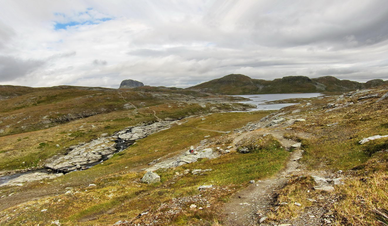 Hardangervidda_33