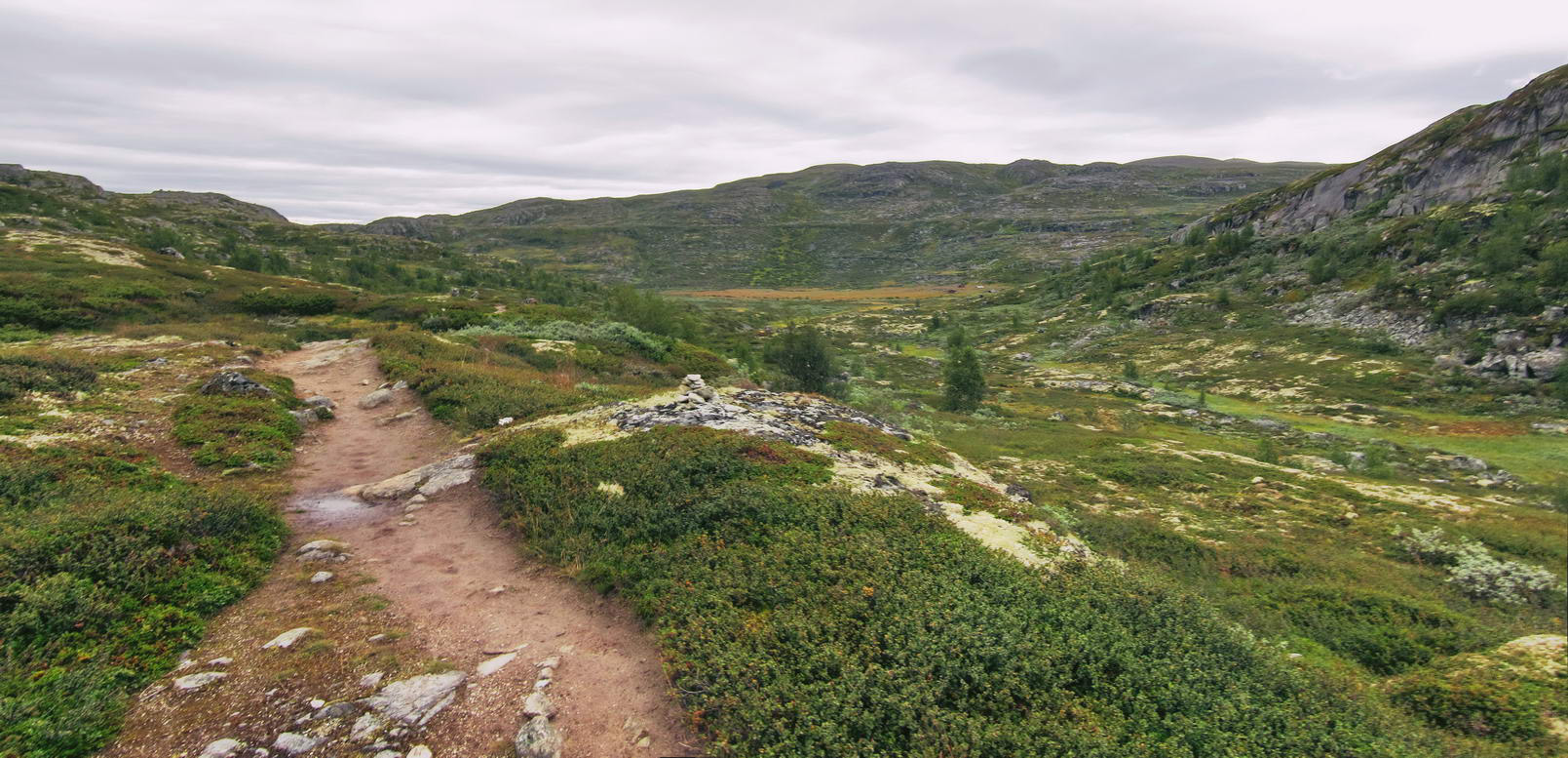 Hardangervidda_41