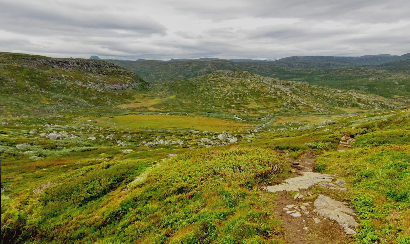 Hardangervidda_42