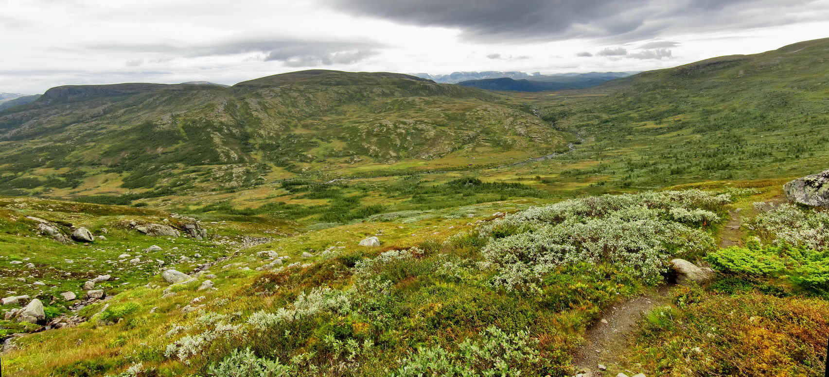 Hardangervidda_46