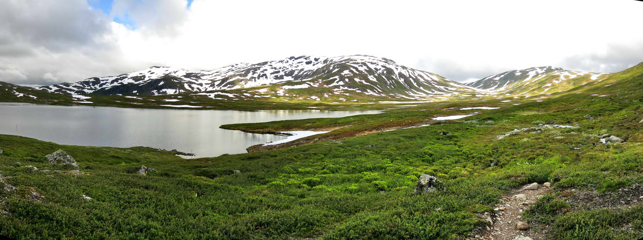 Ramskardet