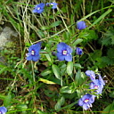 ** PLEASE DESCRIBE THIS IMAGE **