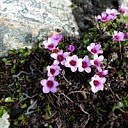 ** PLEASE DESCRIBE THIS IMAGE **