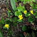 ** PLEASE DESCRIBE THIS IMAGE **