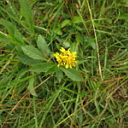 ** PLEASE DESCRIBE THIS IMAGE **