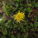 ** PLEASE DESCRIBE THIS IMAGE **