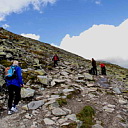 ** PLEASE DESCRIBE THIS IMAGE **