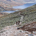 ** PLEASE DESCRIBE THIS IMAGE **