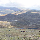 ** PLEASE DESCRIBE THIS IMAGE **