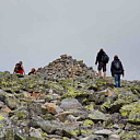 ** PLEASE DESCRIBE THIS IMAGE **