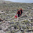 ** PLEASE DESCRIBE THIS IMAGE **