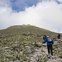 ** PLEASE DESCRIBE THIS IMAGE **