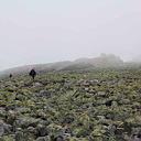 ** PLEASE DESCRIBE THIS IMAGE **