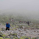 ** PLEASE DESCRIBE THIS IMAGE **