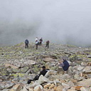 ** PLEASE DESCRIBE THIS IMAGE **